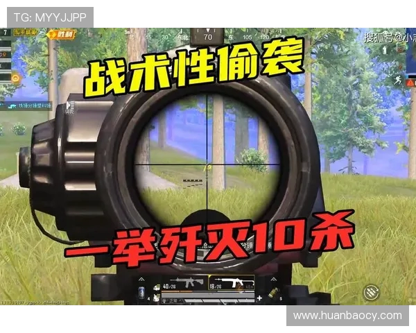 和平精英V5战术解析与实战应用探讨全面提升团队协作与个人技巧